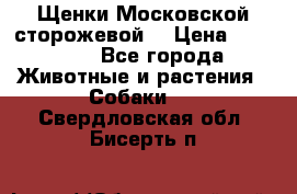 Щенки Московской сторожевой  › Цена ­ 25 000 - Все города Животные и растения » Собаки   . Свердловская обл.,Бисерть п.